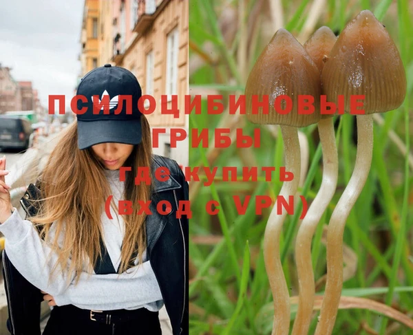 прущая мука Баксан