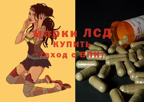стафф Аркадак