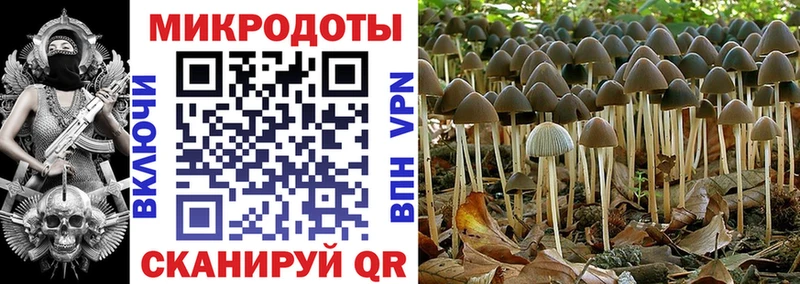 Галлюциногенные грибы Magic Shrooms  Томск 